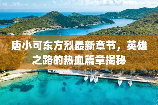 唐小可東方烈最新章節(jié)，英雄之路的熱血篇章揭秘