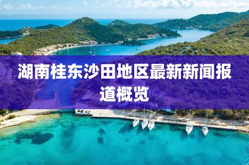 湖南桂東沙田地區(qū)最新新聞報道概覽