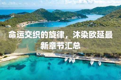 命運(yùn)交織的旋律，沐染歐延最新章節(jié)匯總