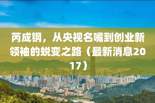 芮成鋼，從央視名嘴到創(chuàng)業(yè)新領(lǐng)袖的蛻變之路（最新消息2017）