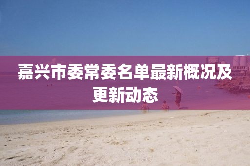 嘉興市委常委名單最新概況及更新動態(tài)
