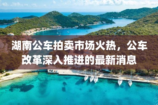湖南公車拍賣市場(chǎng)火熱，公車改革深入推進(jìn)的最新消息