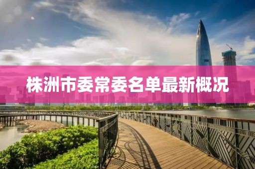 株洲市委常委名單最新概況