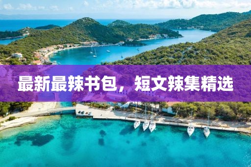 最新最辣書包，短文辣集精選