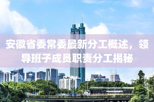安徽省委常委最新分工概述，領(lǐng)導(dǎo)班子成員職責(zé)分工揭秘
