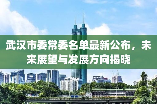 武漢市委常委名單最新公布，未來展望與發(fā)展方向揭曉