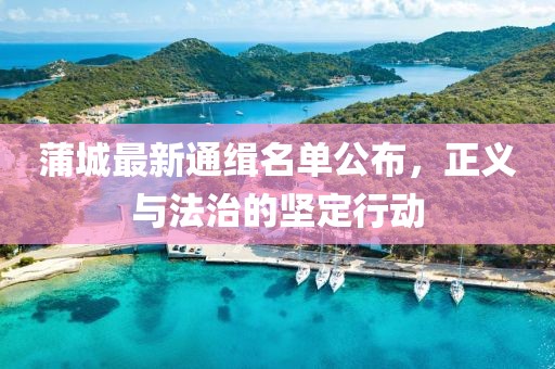 蒲城最新通緝名單公布，正義與法治的堅(jiān)定行動