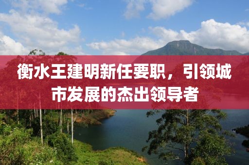 衡水王建明新任要職，引領(lǐng)城市發(fā)展的杰出領(lǐng)導(dǎo)者