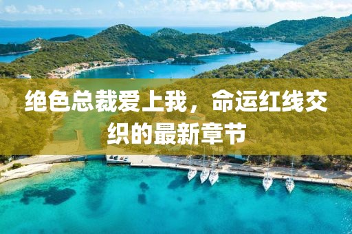 絕色總裁愛上我，命運(yùn)紅線交織的最新章節(jié)