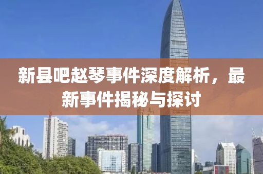 新縣吧趙琴事件深度解析，最新事件揭秘與探討