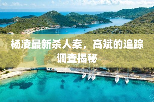 楊凌最新殺人案，高斌的追蹤調(diào)查揭秘