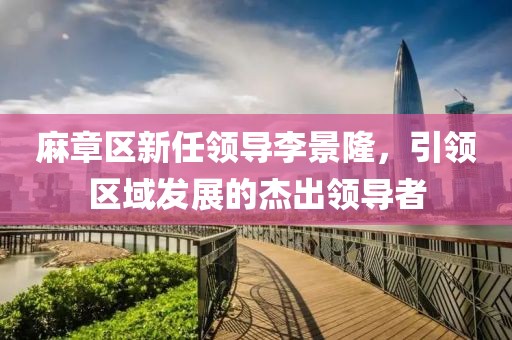 麻章區(qū)新任領(lǐng)導(dǎo)李景隆，引領(lǐng)區(qū)域發(fā)展的杰出領(lǐng)導(dǎo)者