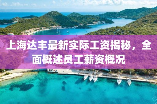 上海達(dá)豐最新實(shí)際工資揭秘，全面概述員工薪資概況