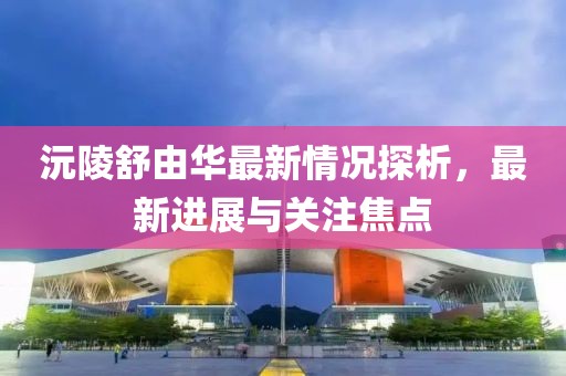 沅陵舒由華最新情況探析，最新進展與關注焦點