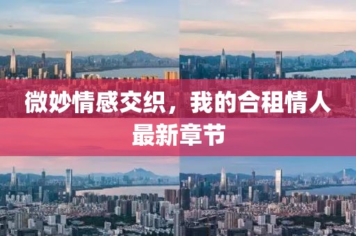 微妙情感交織，我的合租情人最新章節(jié)