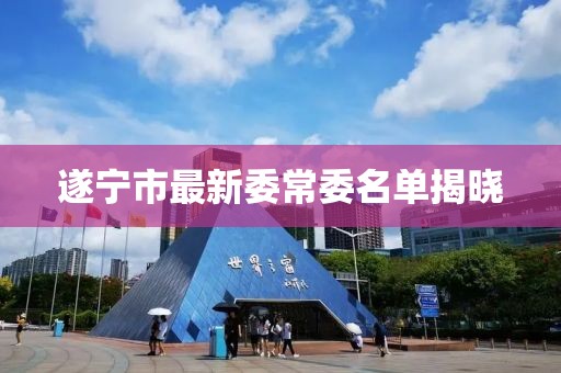 遂寧市最新委常委名單揭曉
