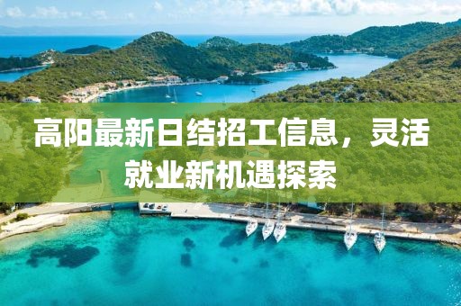 高陽最新日結(jié)招工信息，靈活就業(yè)新機遇探索