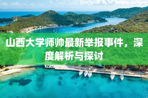 山西大學(xué)師帥最新舉報(bào)事件，深度解析與探討
