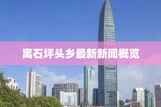 離石坪頭鄉(xiāng)最新新聞概覽
