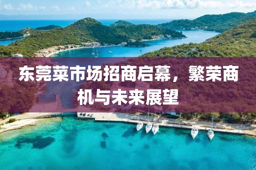 東莞菜市場招商啟幕，繁榮商機(jī)與未來展望