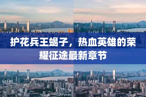 護(hù)花兵王蝎子，熱血英雄的榮耀征途最新章節(jié)