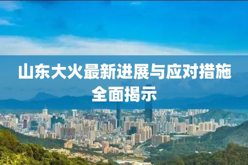 山東大火最新進(jìn)展與應(yīng)對措施全面揭示