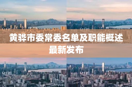 黃驊市委常委名單及職能概述最新發(fā)布