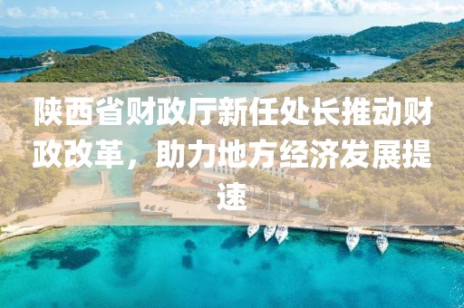 陜西省財政廳新任處長推動財政改革，助力地方經濟發(fā)展提速