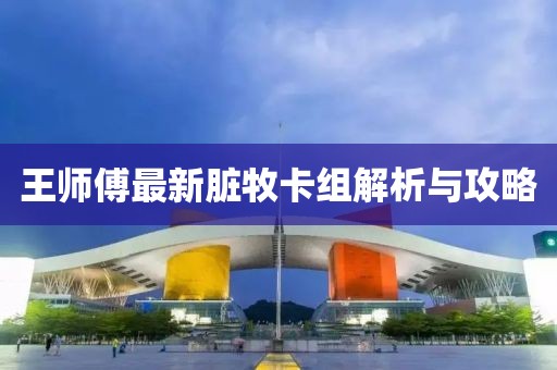 王師傅最新臟牧卡組解析與攻略