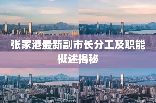 張家港最新副市長分工及職能概述揭秘