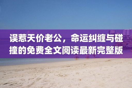 誤惹天價老公，命運糾纏與碰撞的免費全文閱讀最新完整版