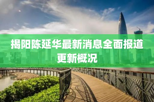 揭陽陳延華最新消息全面報道更新概況