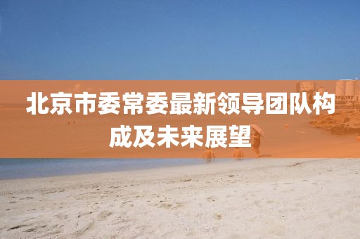 北京市委常委最新領(lǐng)導(dǎo)團隊構(gòu)成及未來展望