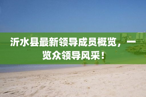 沂水縣最新領(lǐng)導(dǎo)成員概覽，一覽眾領(lǐng)導(dǎo)風(fēng)采！