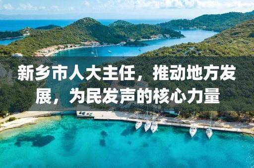 新鄉(xiāng)市人大主任，推動地方發(fā)展，為民發(fā)聲的核心力量