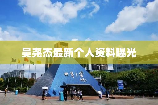 吳堯杰最新個(gè)人資料曝光
