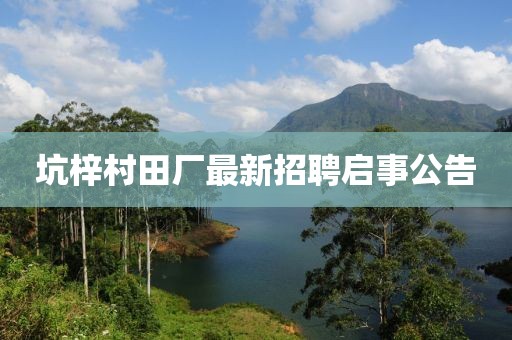 坑梓村田廠最新招聘啟事公告