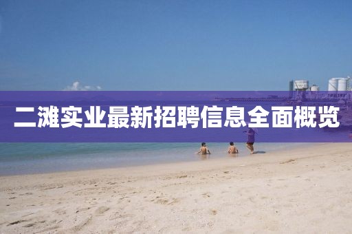 二灘實(shí)業(yè)最新招聘信息全面概覽