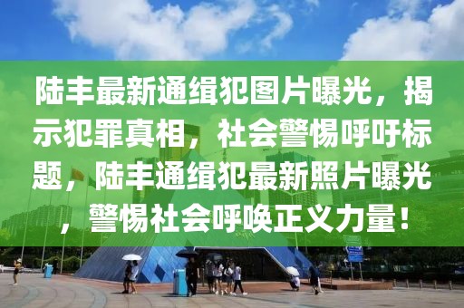 陸豐最新通緝犯圖片曝光，揭示犯罪真相，社會警惕呼吁標題，陸豐通緝犯最新照片曝光，警惕社會呼喚正義力量！