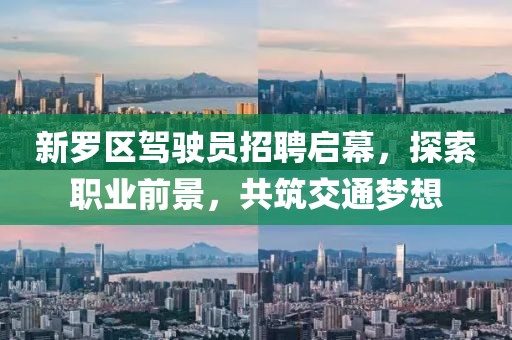 新羅區(qū)駕駛員招聘啟幕，探索職業(yè)前景，共筑交通夢(mèng)想