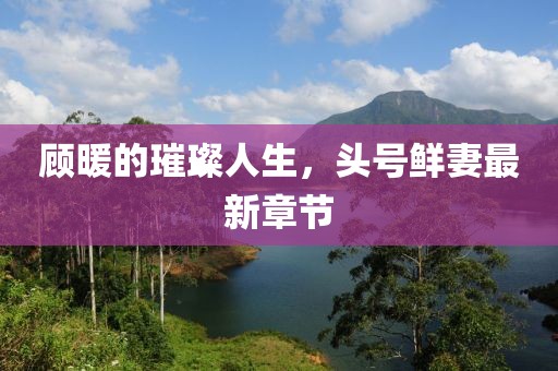 顧暖的璀璨人生，頭號鮮妻最新章節(jié)
