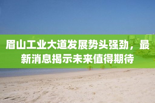 眉山工業(yè)大道發(fā)展勢(shì)頭強(qiáng)勁，最新消息揭示未來(lái)值得期待