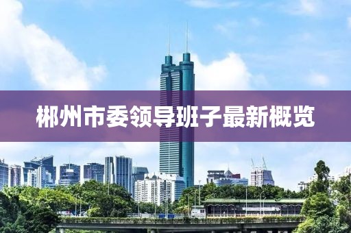 郴州市委領(lǐng)導(dǎo)班子最新概覽