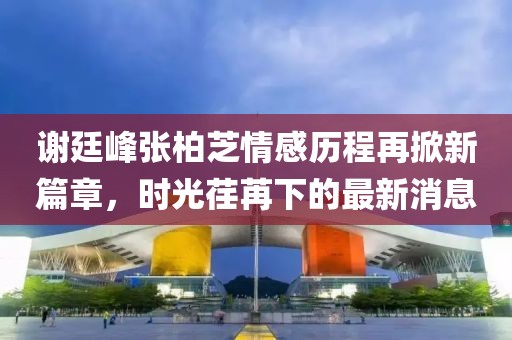 謝廷峰張柏芝情感歷程再掀新篇章，時(shí)光荏苒下的最新消息