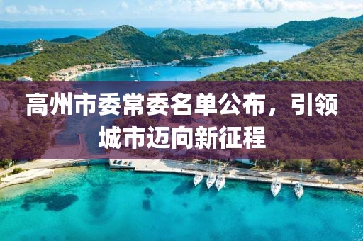 高州市委常委名單公布，引領(lǐng)城市邁向新征程