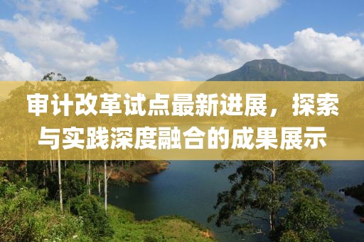 審計改革試點最新進展，探索與實踐深度融合的成果展示