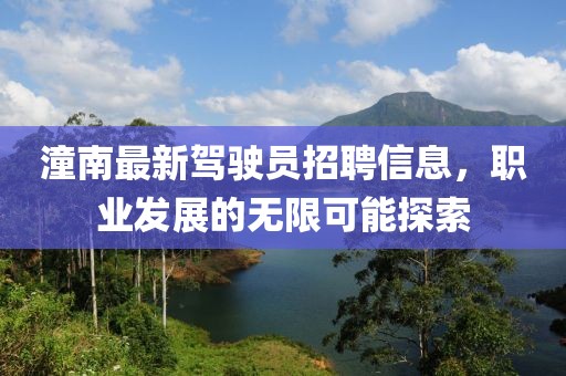 潼南最新駕駛員招聘信息，職業(yè)發(fā)展的無限可能探索