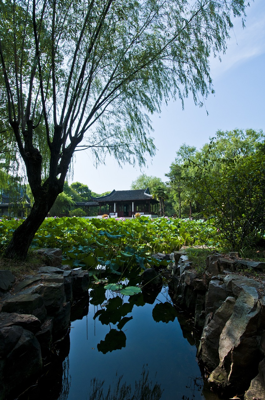津雄鐵路最新進(jìn)展、影響與展望，揭秘最新動(dòng)態(tài)與未來趨勢
