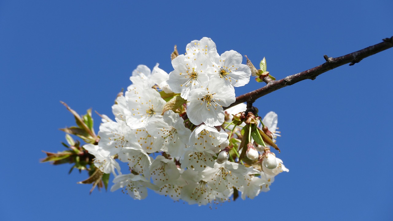 興永郴贛鐵路進(jìn)展順利，助力區(qū)域經(jīng)濟(jì)發(fā)展新動態(tài)