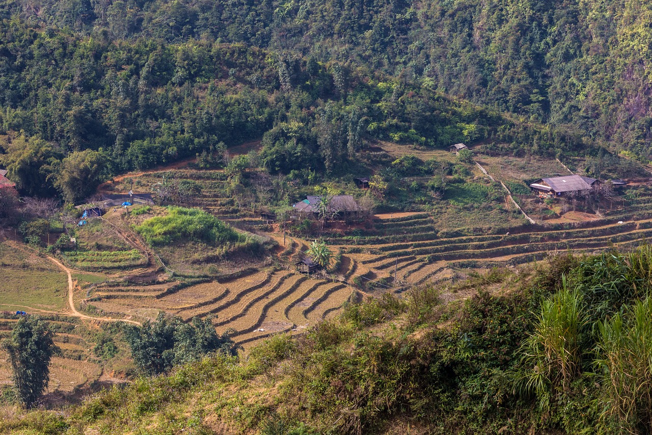 符離鎮(zhèn)最新規(guī)劃圖揭曉，展望繁榮未來，符離鎮(zhèn)2016規(guī)劃展望